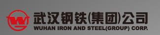 武汉钢铁集团有限公司